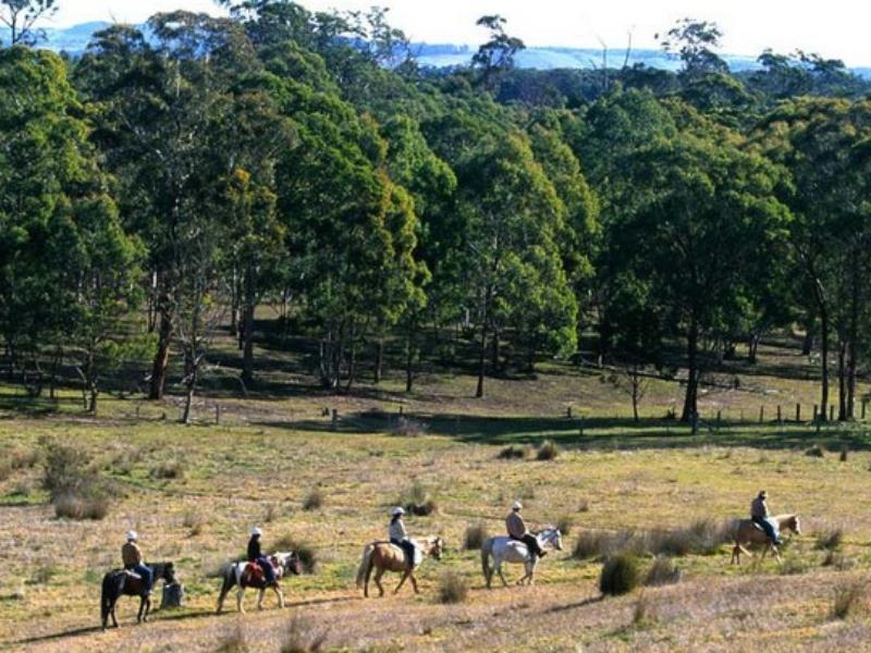 Katoomba Mountain Lodge Екстер'єр фото